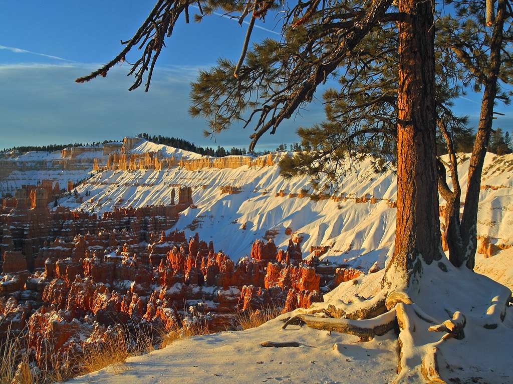 Bryce Canyon in winter, from Sunset Point